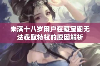 未满十八岁用户在藏宝阁无法获取特权的原因解析