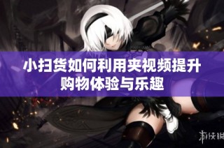 小扫货如何利用夹视频提升购物体验与乐趣
