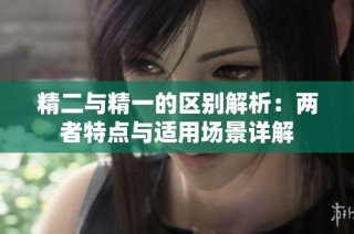 精二与精一的区别解析：两者特点与适用场景详解