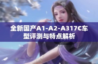 全新国产A1-A2-A317C车型评测与特点解析