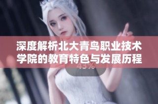 深度解析北大青鸟职业技术学院的教育特色与发展历程