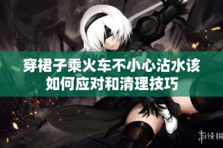 穿裙子乘火车不小心沾水该如何应对和清理技巧