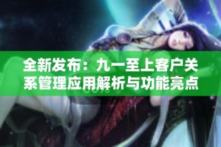 全新发布：九一至上客户关系管理应用解析与功能亮点探讨