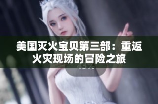 美国灭火宝贝第三部：重返火灾现场的冒险之旅