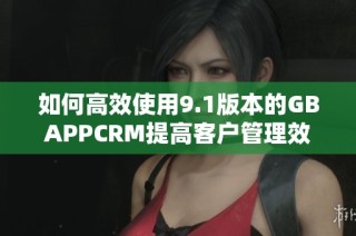 如何高效使用9.1版本的GBAPPCRM提高客户管理效率