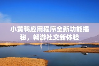 小黄鸭应用程序全新功能揭秘，畅游社交新体验