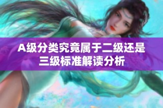 A级分类究竟属于二级还是三级标准解读分析