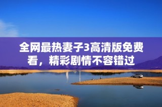 全网最热妻子3高清版免费看，精彩剧情不容错过