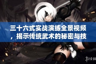 三十六式实战演练全景视频，揭示传统武术的秘密与技巧