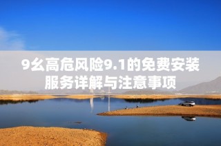 9幺高危风险9.1的免费安装服务详解与注意事项