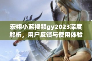 宏翔小蓝视频gy2023深度解析，用户反馈与使用体验全揭秘