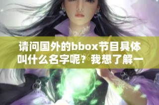 请问国外的bbox节目具体叫什么名字呢？我想了解一下。