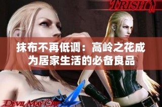 抹布不再低调：高岭之花成为居家生活的必备良品