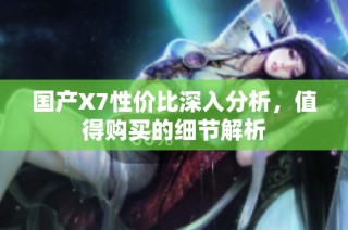 国产X7性价比深入分析，值得购买的细节解析