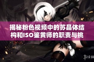 揭秘粉色视频中的苏晶体结构和ISO鉴黄师的职责与挑战