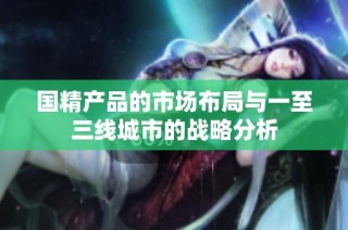 国精产品的市场布局与一至三线城市的战略分析