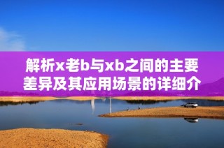 解析x老b与xb之间的主要差异及其应用场景的详细介绍