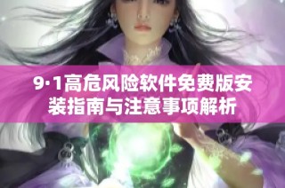 9·1高危风险软件免费版安装指南与注意事项解析