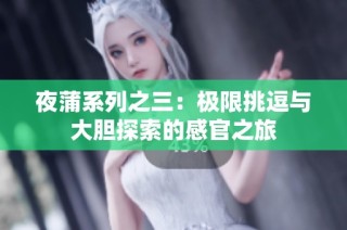 夜蒲系列之三：极限挑逗与大胆探索的感官之旅