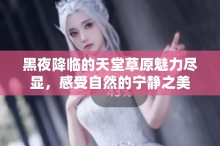 黑夜降临的天堂草原魅力尽显，感受自然的宁静之美
