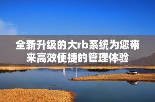 全新升级的大rb系统为您带来高效便捷的管理体验