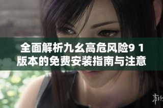 全面解析九幺高危风险9 1版本的免费安装指南与注意事项