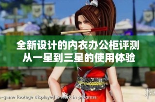全新设计的内衣办公柜评测 从一星到三星的使用体验分享