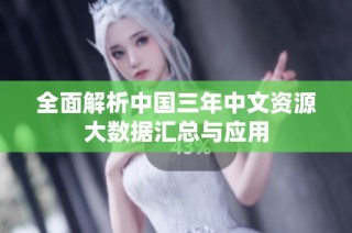 全面解析中国三年中文资源大数据汇总与应用
