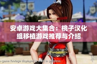 安卓游戏大集合：桃子汉化组移植游戏推荐与介绍