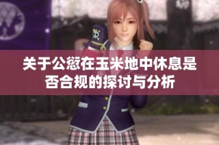 关于公愆在玉米地中休息是否合规的探讨与分析