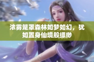 浓雾笼罩森林如梦如幻，犹如置身仙境般缥缈