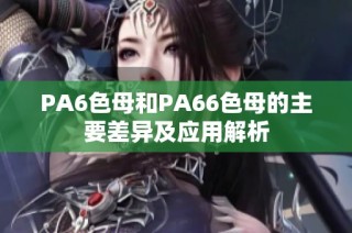 PA6色母和PA66色母的主要差异及应用解析