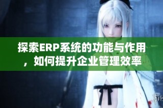 探索ERP系统的功能与作用，如何提升企业管理效率