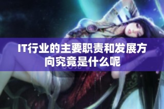 IT行业的主要职责和发展方向究竟是什么呢
