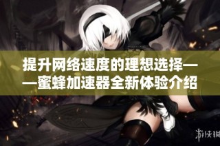 提升网络速度的理想选择——蜜蜂加速器全新体验介绍