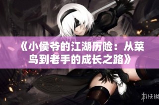 《小侯爷的江湖历险：从菜鸟到老手的成长之路》