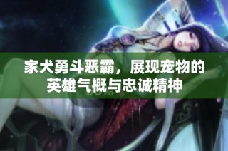 家犬勇斗恶霸，展现宠物的英雄气概与忠诚精神