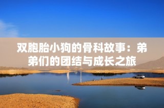 双胞胎小狗的骨科故事：弟弟们的团结与成长之旅