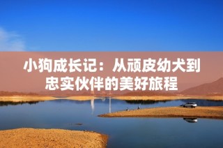 小狗成长记：从顽皮幼犬到忠实伙伴的美好旅程
