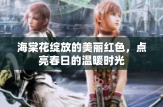 海棠花绽放的美丽红色，点亮春日的温暖时光