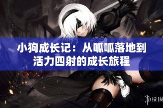 小狗成长记：从呱呱落地到活力四射的成长旅程