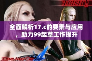 全面解析17.c的要素与应用，助力99起草工作提升