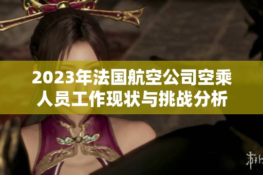 2023年法国航空公司空乘人员工作现状与挑战分析