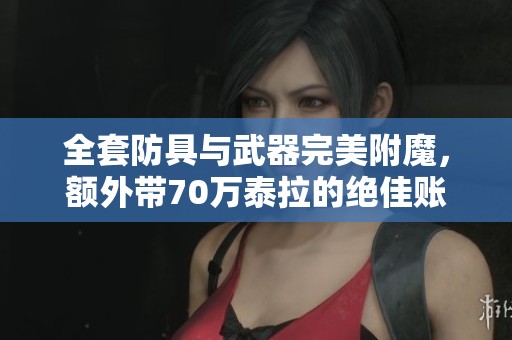 全套防具与武器完美附魔，额外带70万泰拉的绝佳账号转让