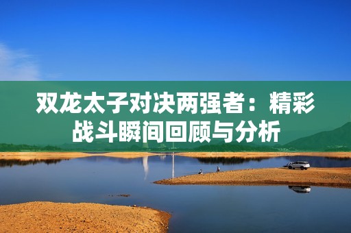 双龙太子对决两强者：精彩战斗瞬间回顾与分析