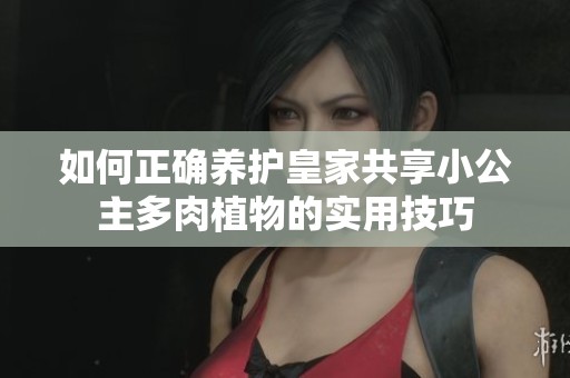 如何正确养护皇家共享小公主多肉植物的实用技巧
