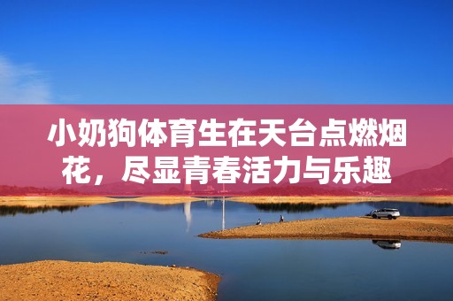 小奶狗体育生在天台点燃烟花，尽显青春活力与乐趣