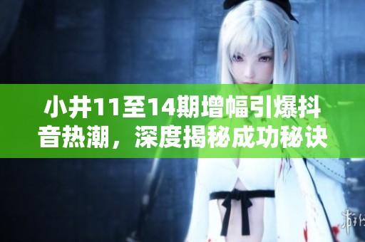 小井11至14期增幅引爆抖音热潮，深度揭秘成功秘诀