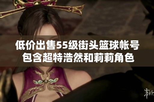 低价出售55级街头篮球帐号 包含超特浩然和莉莉角色