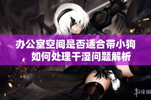 办公室空间是否适合带小狗，如何处理干湿问题解析